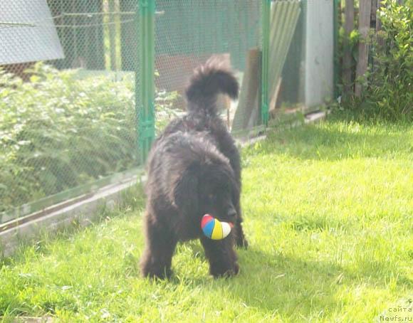 Фотография № 45606