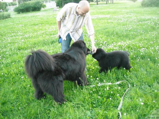 Фотография № 45613