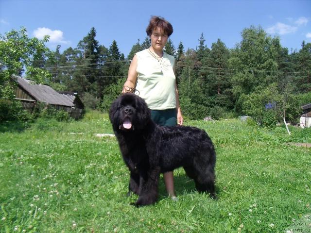 Фотография № 45621