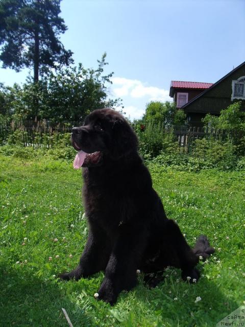 Фотография № 45623