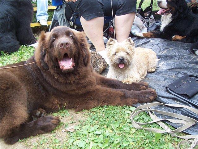 Фотография № 45876