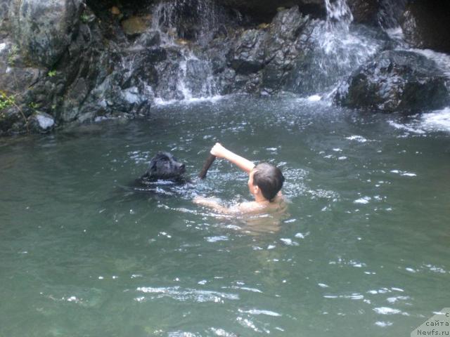 Фото: ботсман