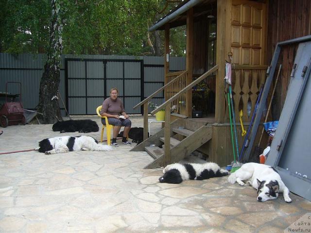 Фотография № 45912