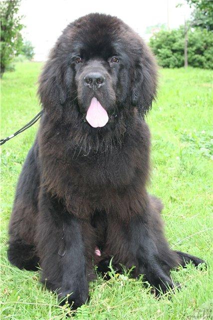 Фотография № 45966