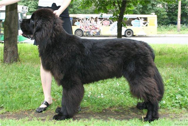 Фотография № 45975