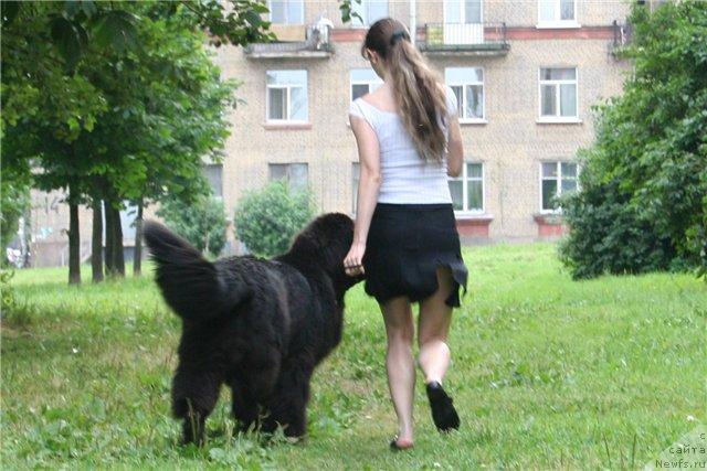 Фотография № 45977