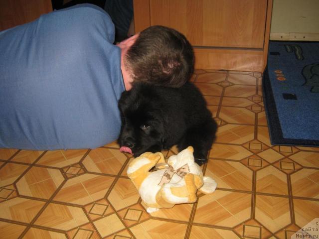 Фото: Ценитель Прекрасного из Аркаима