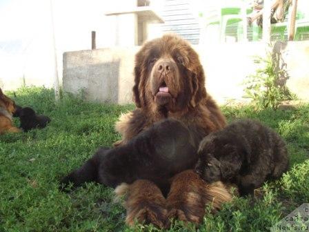 Фотография № 46068