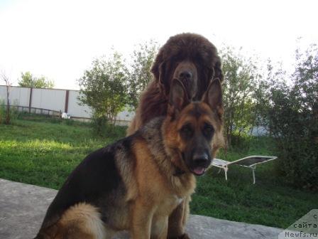 Фотография № 46074