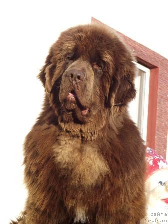 Фотография № 46075