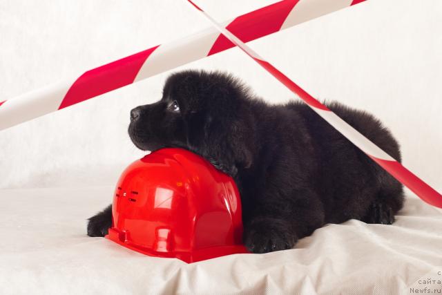 Фотография № 46097