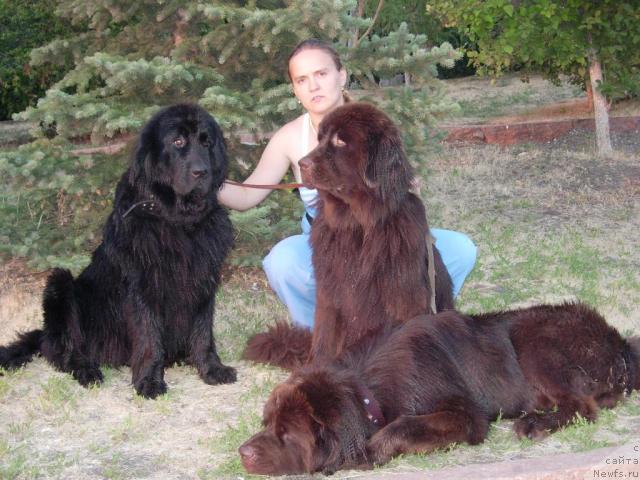 Фотография № 46098