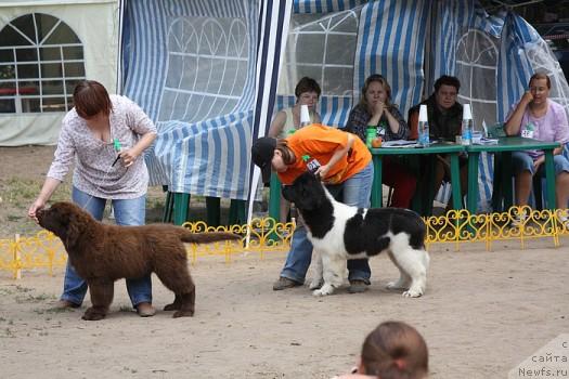 Фото: АК Максима и Супер Премиум Женева.