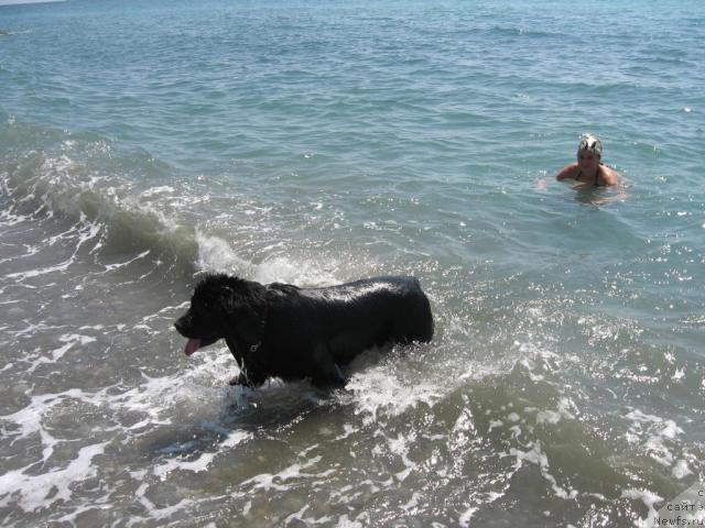 Фотография № 46151