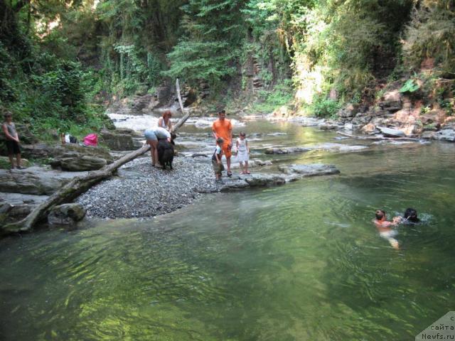 Фотография № 46152