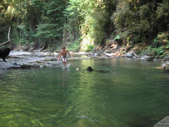 Фотография № 46153