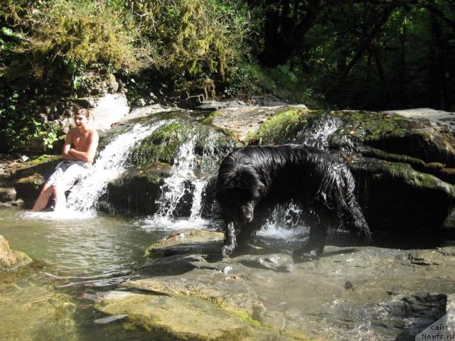 Фотография № 46158