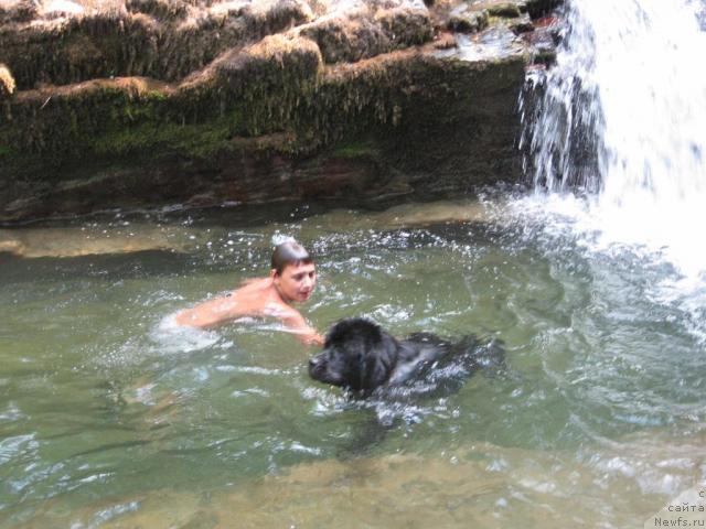 Фотография № 46160