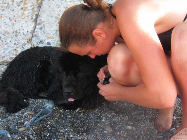 Фотография № 46171