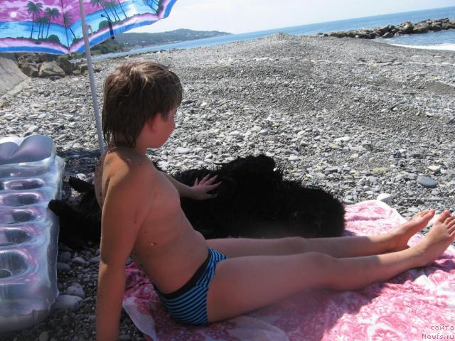 Фотография № 46172