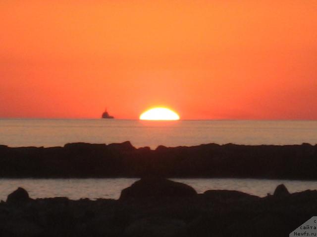 Фотография № 46175