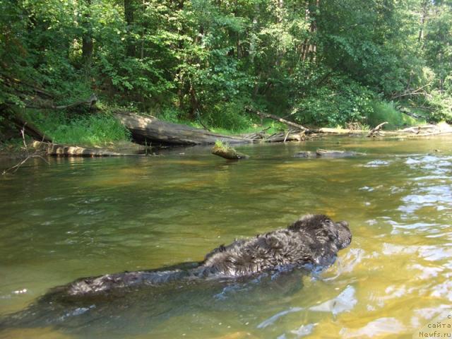 Фотография № 46187