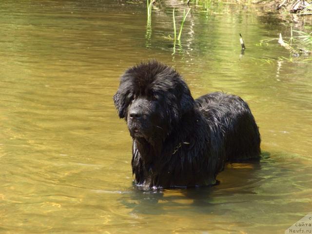 Фотография № 46188