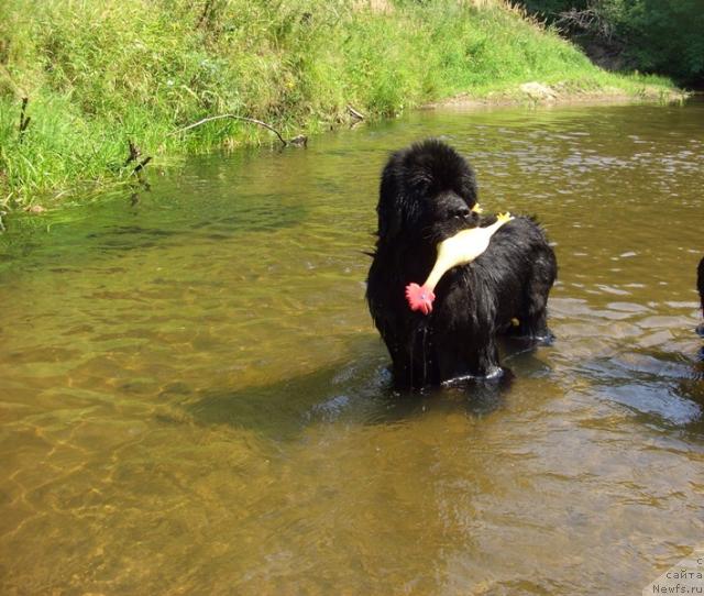 Фотография № 46191