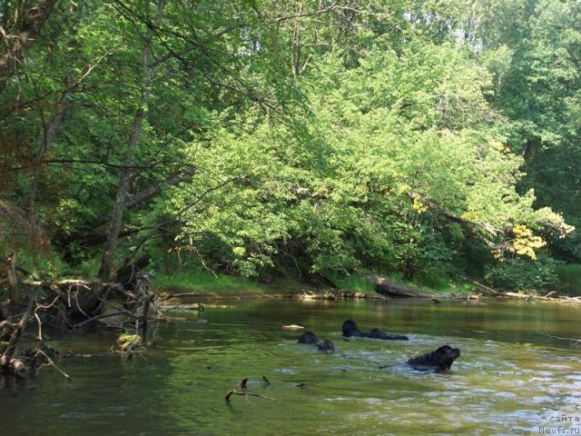 Фотография № 46192