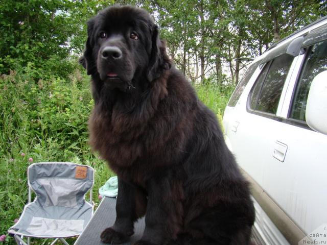 Фотография № 46198