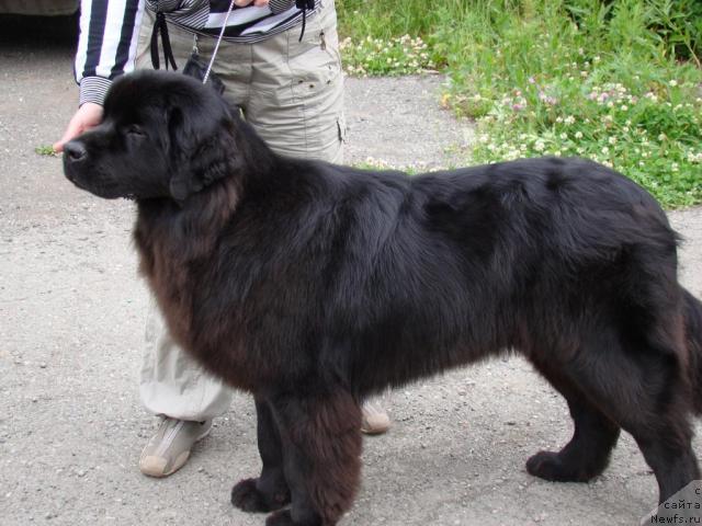 Фотография № 46201