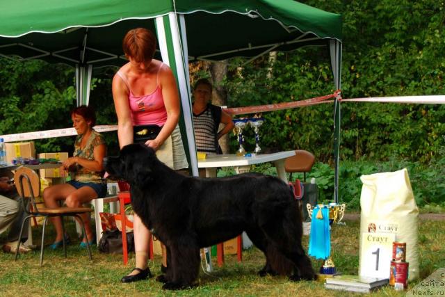 Фотография № 46203