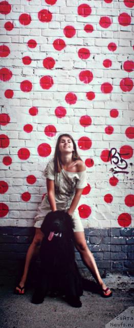 Фото: ньюфаундленд Ahrem Vyaliki Myadzvedz' (Ахрем Вялiкi Мядзведзь), Valeriya Krivova (Валерия Кривова)