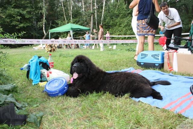 Фотография № 46222