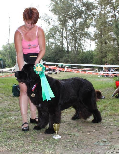 Фотография № 46223