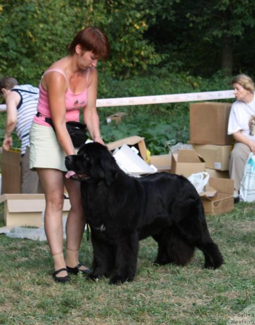 Фотография № 46224