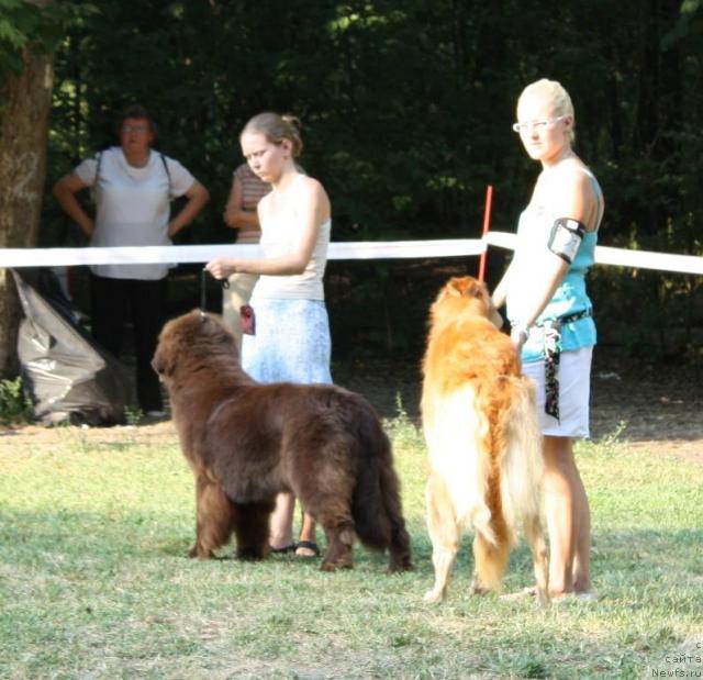 Фотография № 46231