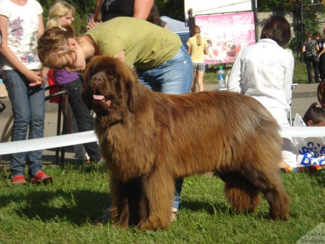 Фотография № 46254