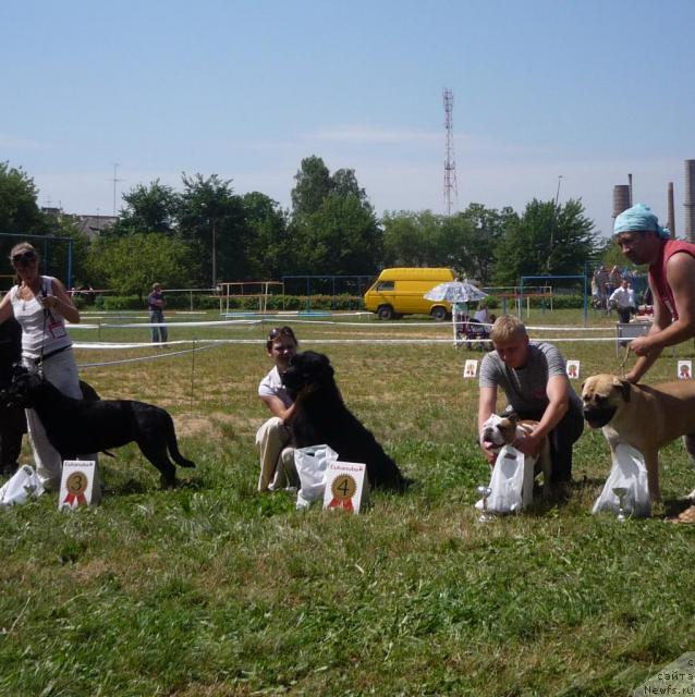 Фотография № 46261