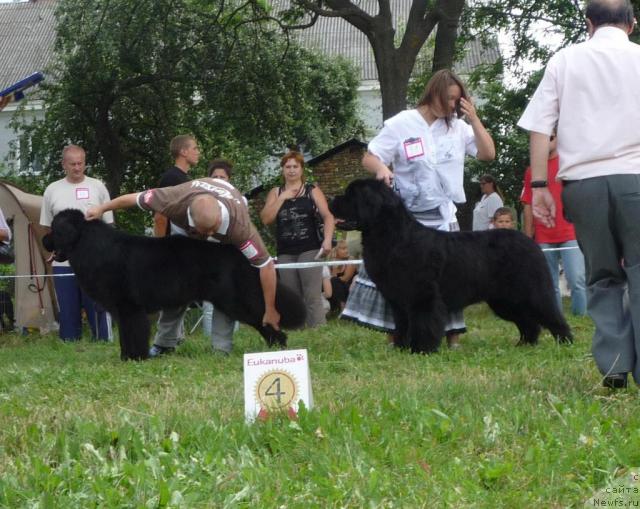 Фотография № 46266