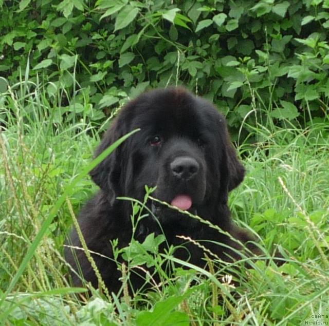 Фотография № 46267