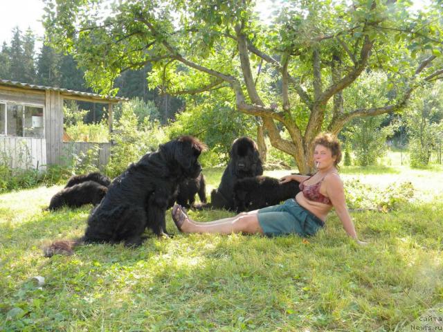 Фото: Anna Kovalyova (Анна Ковалёва)