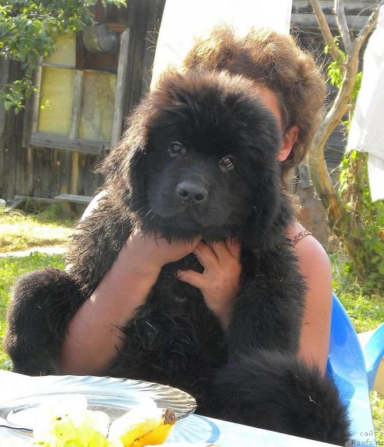 Фото: Anna Kovalyova (Анна Ковалёва)