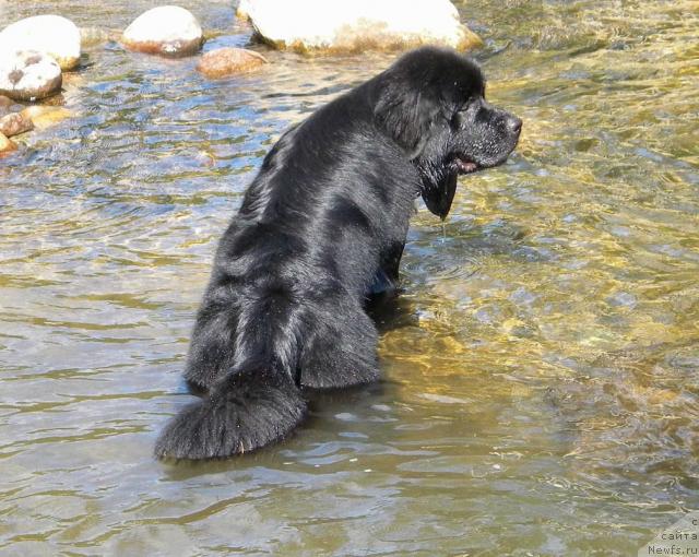 Фотография № 46282