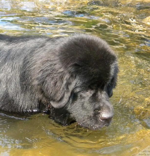 Фотография № 46286