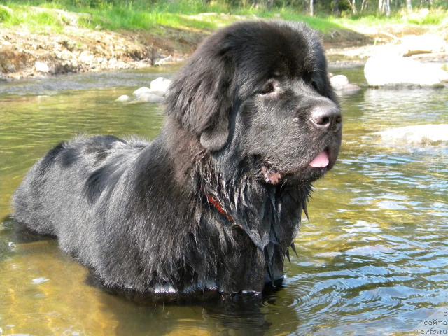 Фотография № 46287