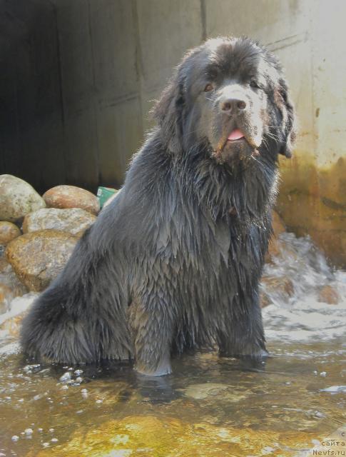 Фотография № 46288