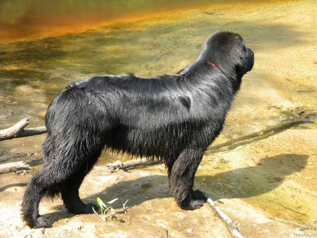 Фотография № 46289