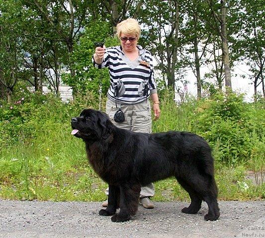 Фотография № 46313