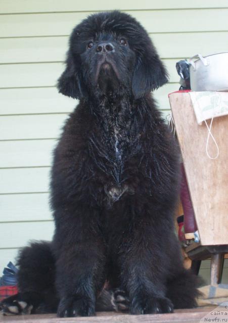 Фотография № 46347